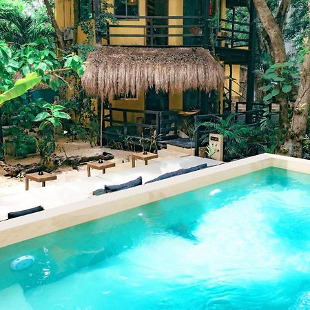 Terasu Riviera Maya Hotel & Spa, En Xcaret Solidaridad Dış mekan fotoğraf