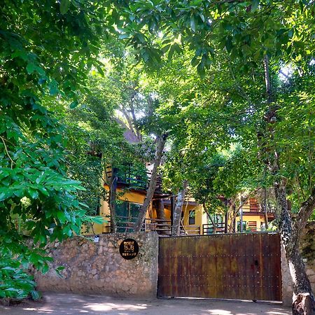 Terasu Riviera Maya Hotel & Spa, En Xcaret Solidaridad Dış mekan fotoğraf